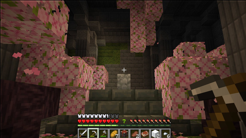 DRAGONS Add-On 1.0 by HorizonBlocks