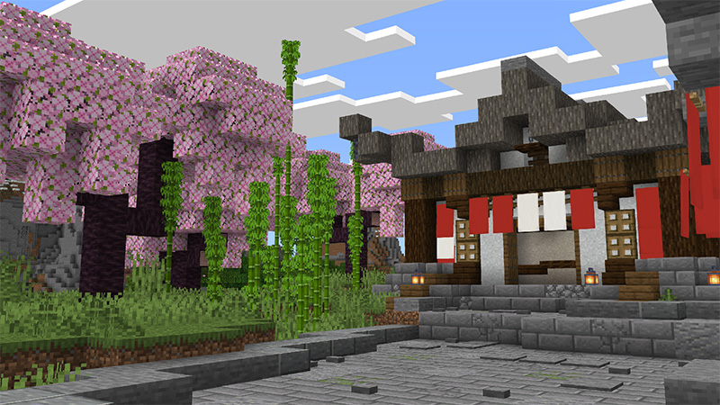 Ninja Town by MobBlocks