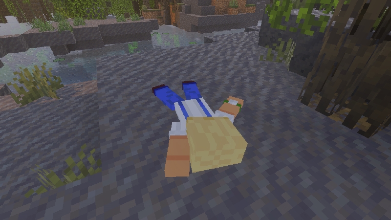 Player Death Animations by Logdotzip