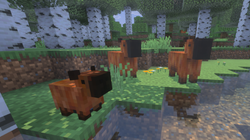 Capybara Add-On by Cleverlike