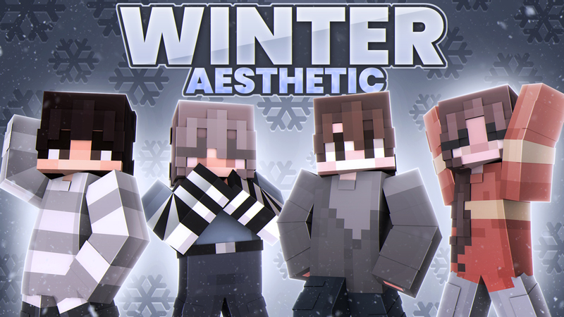 Winter Aesthetic on the Minecraft Marketplace by Endorah
