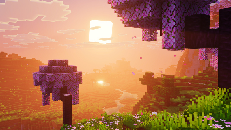Vibrance by Pathway Studios