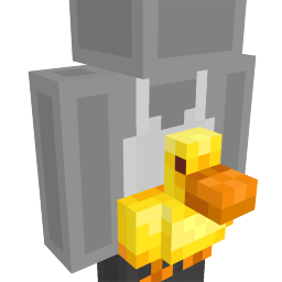 Ducky Floatie