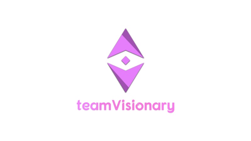 Team Visionary